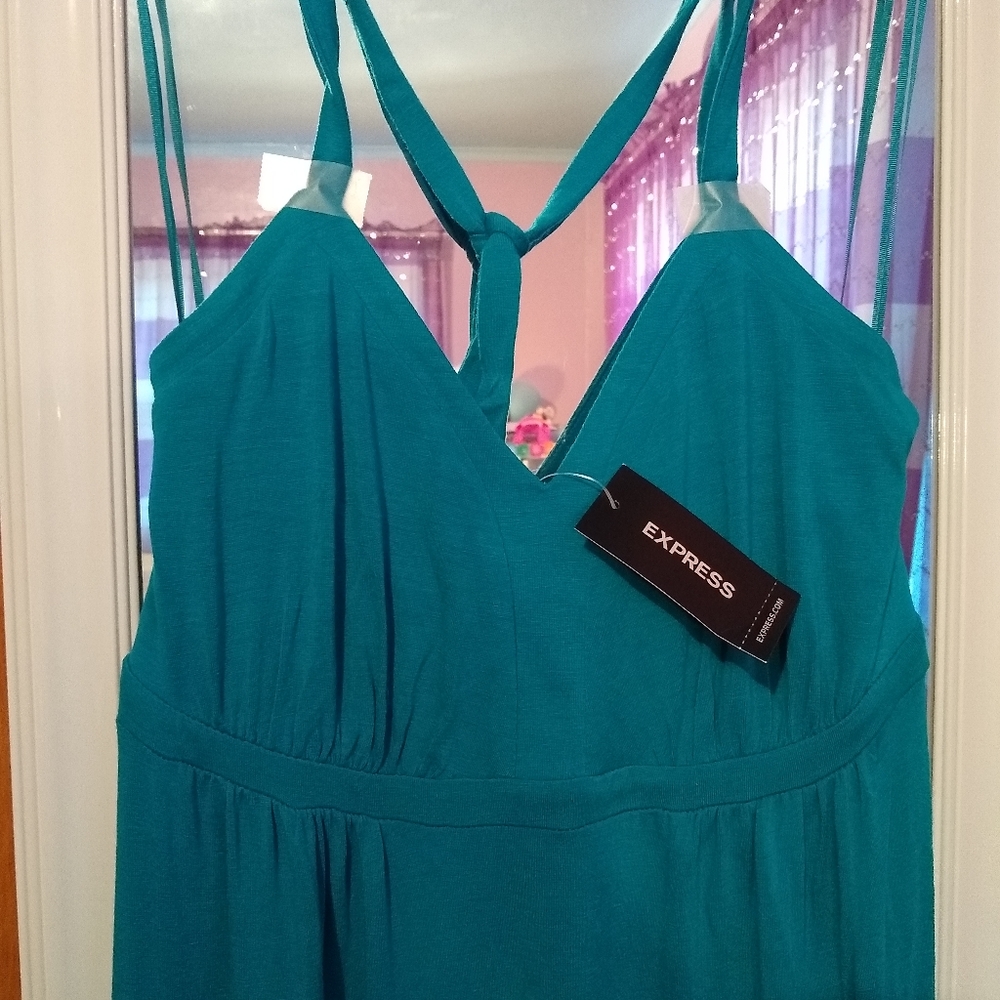 NWT Express Maxi Dress with Tie Around Neck - Size XS - Picture 14 of 14